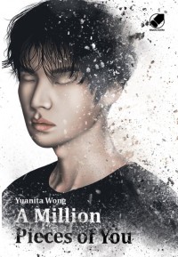 Image of A Million Pieces of You