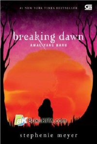 Image of Breaking Down = Awal Yang Baru